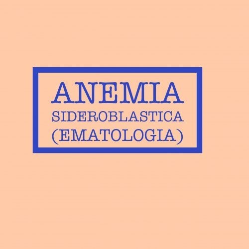 Le anemie sideroblastiche sono un gruppo di malattie del sangue caratterizzate da sideroblasti ad anelli
