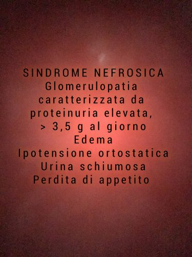 Sindrome nefrosica: cause, sintomi, terapia