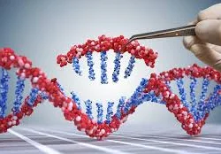 Terapia Genica: una rivoluzione nella cura delle Malattie Genetiche