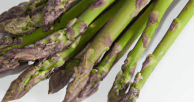 Gli asparagi sono una verdura a fusto lungo e sottile, di colore verde o bianco, appartenente alla famiglia delle Liliaceae.Ci sono diverse varietà di asparagi, ognuna con le sue caratteristiche distintive.