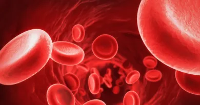 I globuli rossi, noti anche come eritrociti, sono le cellule più numerose presenti nel sangue umano.Le differenze di genere nei globuli rossi sono principalmente legate all’emoglobina, la proteina che trasporta l’ossigeno nel sangue. Il ciclo di vita dei globuli rossi è di circa 120 giorni, durante i quali vengono continuamente prodotti nel midollo osseo e distrutti nel fegato e nella milza