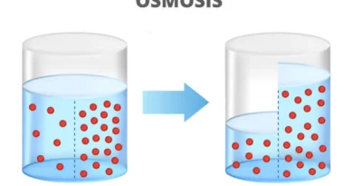 L’osmosi è il processo in cui le molecole di solvente, solitamente acqua, si spostano attraverso una membrana semipermeabile da una regione di minore concentrazione di soluti a una regione di maggiore concentrazione di soluti.l’osmosi svolge un ruolo chiave nel mantenimento dell’equilibrio osmotico all’interno delle cellule