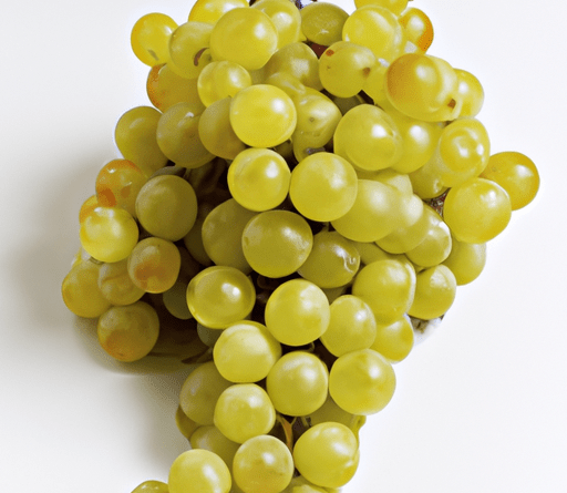 L’uva è una delle frutta più coltivate e consumate al mondo. L’uva è caratterizzata da piccoli chicchi dolci e succosi, raccolti in grappoli.L’uva è un’ottima fonte di carboidrati, principalmente sotto forma di zuccheri naturali come glucosio e fruttosio.