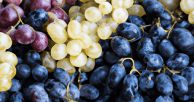 La differenza più evidente tra l’uva bianca e l’uva nera è il colore.Dal punto di vista del gusto, l’uva bianca e l’uva nera possono differire notevolmente.Dal punto di vista del gusto, l’uva bianca e l’uva nera possono differire notevolmente.