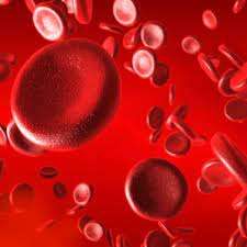 RDW (Red Cell Distribution Width) è un parametro che misura la variabilità delle dimensioni dei globuli rossi nel sangue.L’RDW è espresso come un valore percentuale o come coefficiente di variazione (CV).L’RDW può fornire informazioni utili sulla morfologia dei globuli rossi e sulla presenza di eventuali disturbi o condizioni.– RDW-CV (coefficiente di variazione): di solito viene considerato normale se inferiore al 14,5%.