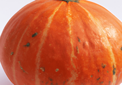 La zucca è originaria delle Americhe, dove è stata coltivata per migliaia di anni. La zucca è una fonte preziosa di nutrienti essenziali. È ricca di vitamine A, C ed E, che svolgono un ruolo importante nel sostenere il sistema immunitario, Esistono molte varietà di zucca, ognuna con le sue caratteristiche uniche.